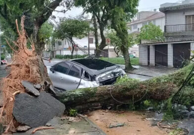 Vendaval de 125 km/h provoca três mortes e paralisa porto em São Paulo Vendaval de 125 km/h provoca três mortes e paralisa porto em São Paulo